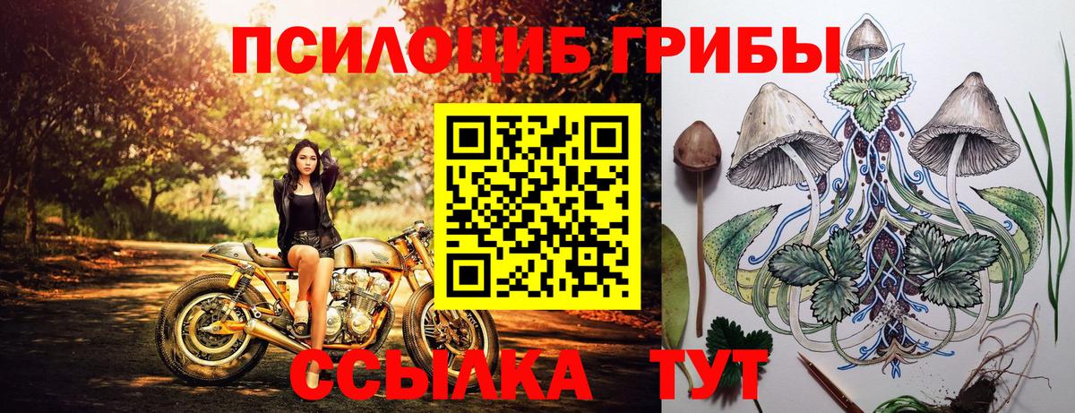 хочу   Псилоцибиновые грибы Magic Shrooms  Вход с VPN  Мурманск  Псилоцибиновые грибы Psilocybe 