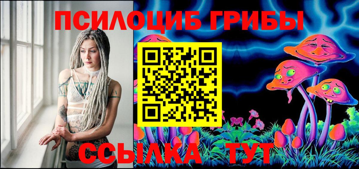 Псилоцибиновые грибы ЛСД Мурманск